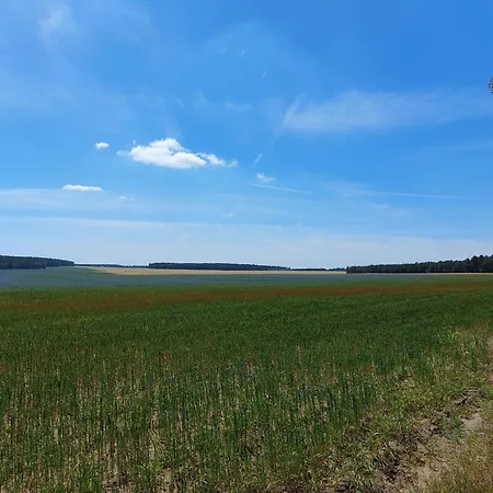 Alte Schmiede - Weites Land Дом отдыха Wittenberg