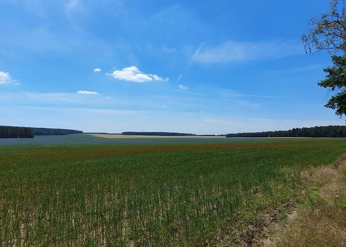 Alte Schmiede - Weites Land Semesterbostad Wittenberg